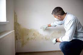 Professional Mold Removal & Remediation in Clinton, MD